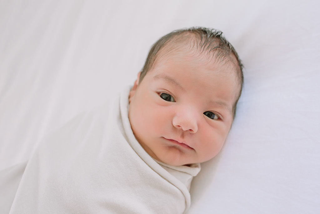 dallas newborn photographer_Liz Novi Photography-7