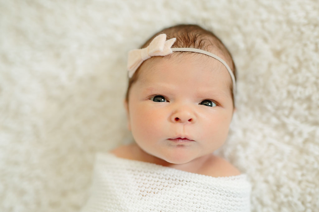 dallas newborn photographer_Liz Novi Photography-20